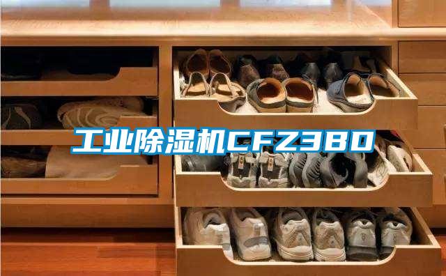 国产精品三级在线观看 工业除湿机CFZ3BD