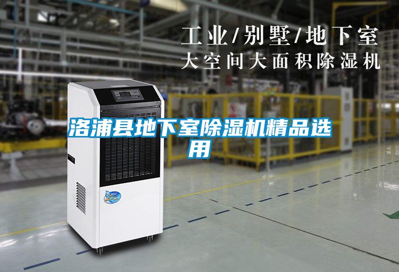 国产精品欧美激情视频 洛浦县地下室除湿机精品选用