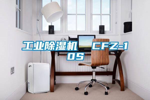 国产精品探花在线观看 工业除湿机  CFZ-10S