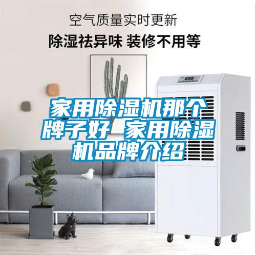 国产精品欧美激情视频 家用除湿机那个牌子好 家用除湿机品牌介绍