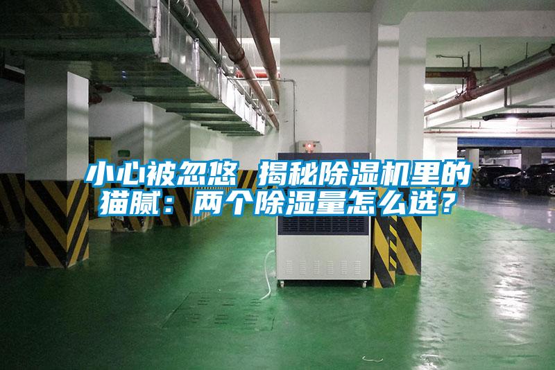 国产精品三级在线观看 小心被忽悠 揭秘除湿机里的猫腻：两个除湿量怎么选？