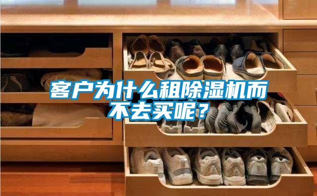 国产精品欧美激情视频 客户为什么租除湿机而不去买呢？
