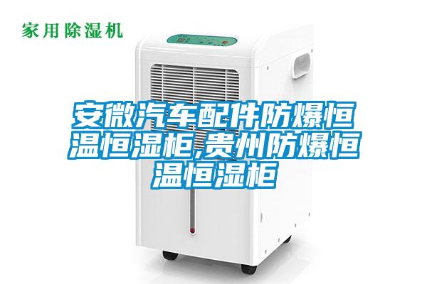 国产精品三级在线观看 安微汽车配件防爆恒温恒湿柜,贵州防爆恒温恒湿柜