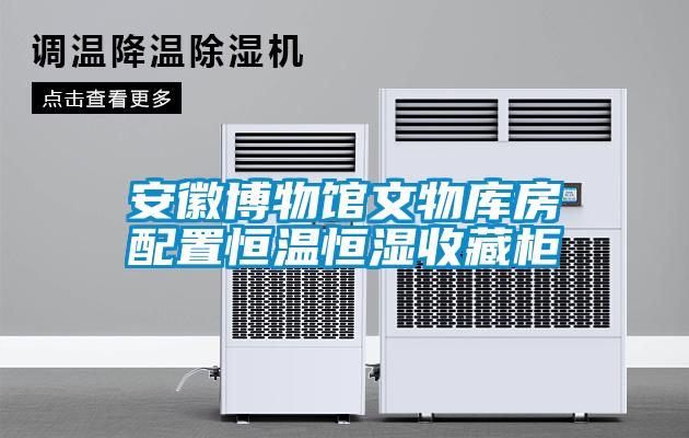 国产精品探花在线观看 安徽博物馆文物库房配置恒温恒湿收藏柜