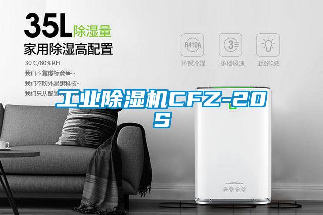国产精品探花在线观看 工业除湿机CFZ-20S