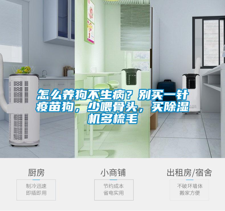 国产精品探花在线观看 怎么养狗不生病？别买一针疫苗狗，少喂骨头，买除湿机多梳毛