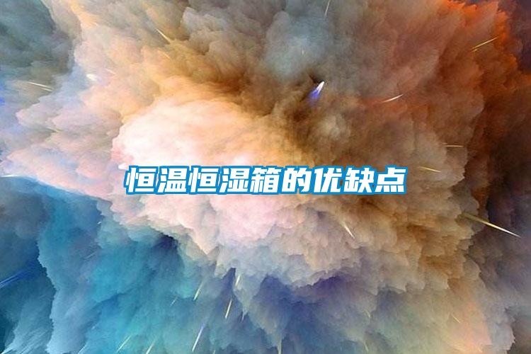 国产精品欧美激情视频 恒温恒湿箱的优缺点