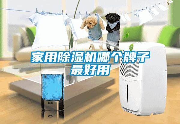国产精品三级在线观看 家用除湿机哪个牌子最好用