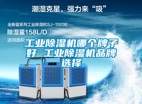 国产精品三级在线观看 工业除湿机哪个牌子好 工业除湿机品牌选择