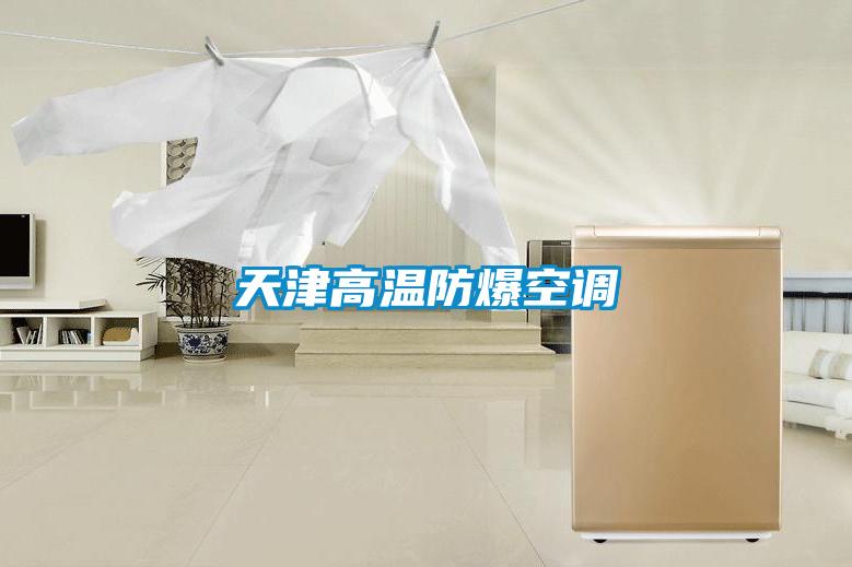 国产精品三级在线观看 天津高温防爆空调