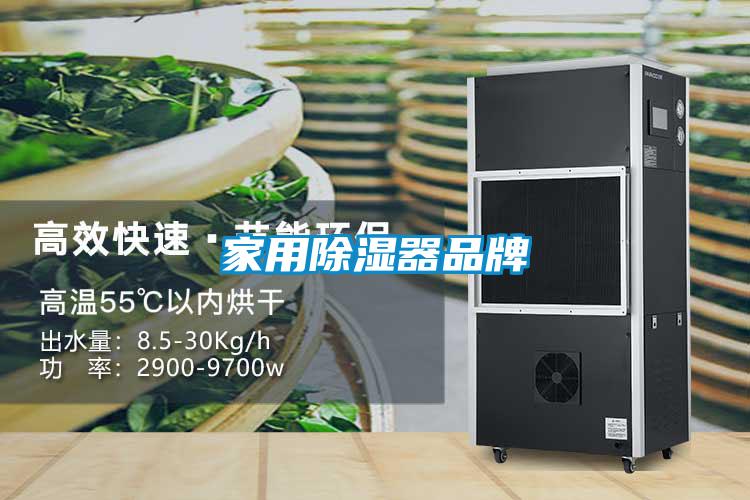 国产精品欧美激情视频 家用除湿器品牌