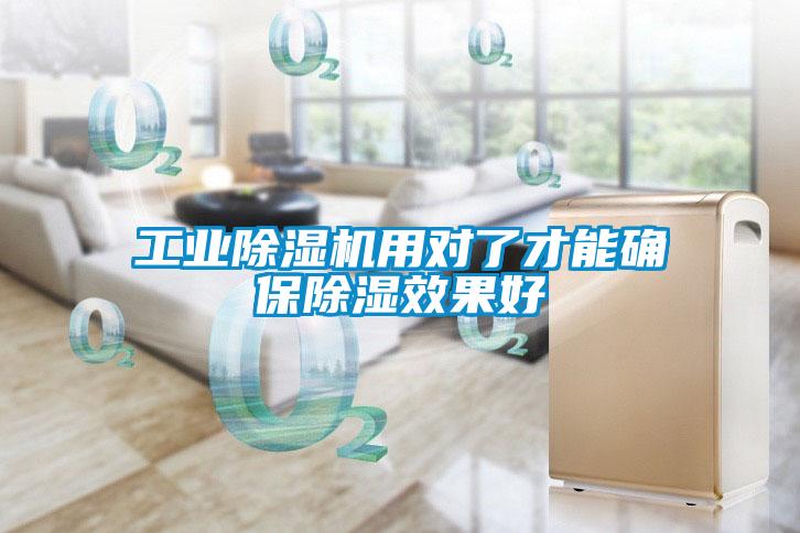 国产精品三级在线观看 工业除湿机用对了才能确保除湿效果好