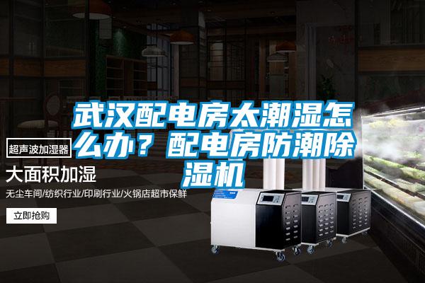 国产精品欧美激情视频 武汉配电房太潮湿怎么办？配电房防潮除湿机