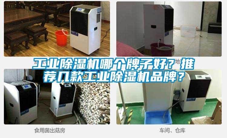 国产精品欧美激情视频 工业除湿机哪个牌子好？推荐几款工业除湿机品牌？