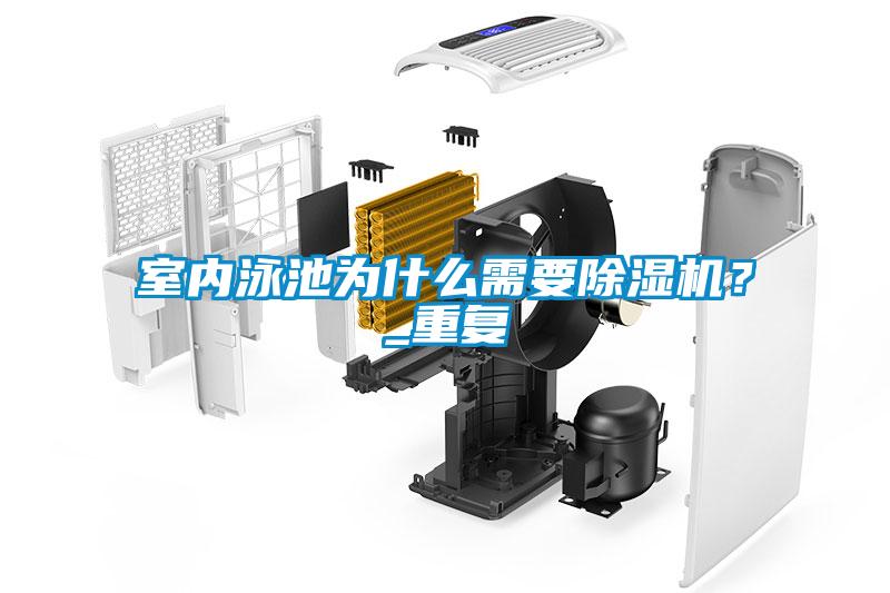 国产精品欧美激情视频 室内泳池为什么需要除湿机？_重复