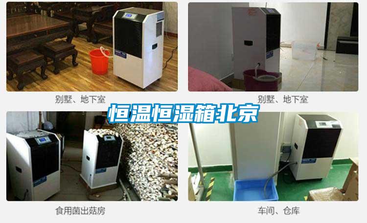 国产精品探花在线观看 恒温恒湿箱北京