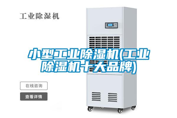 国产精品三级在线观看 小型工业除湿机(工业除湿机十大品牌)