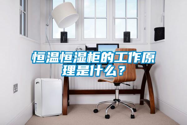 国产精品三级在线观看 恒温恒湿柜的工作原理是什么？