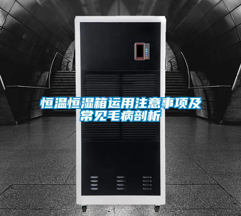 国产精品三级在线观看 恒温恒湿箱运用注意事项及常见毛病剖析