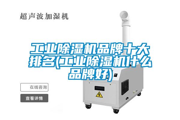 国产精品欧美激情视频 工业除湿机品牌十大排名(工业除湿机什么品牌好)