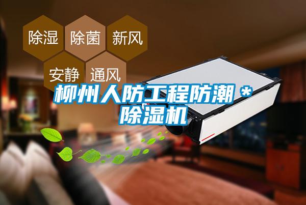 国产精品探花在线观看 柳州人防工程防潮＊除湿机