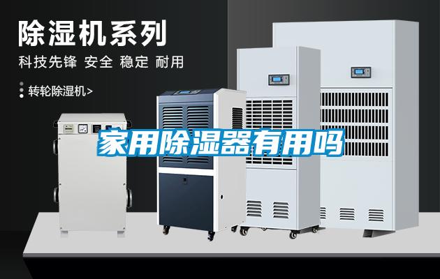 国产精品三级在线观看 家用除湿器有用吗