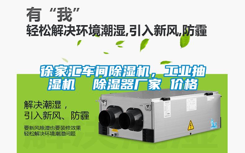 国产精品欧美激情视频 徐家汇车间除湿机，工业抽湿机  除湿器厂家 价格