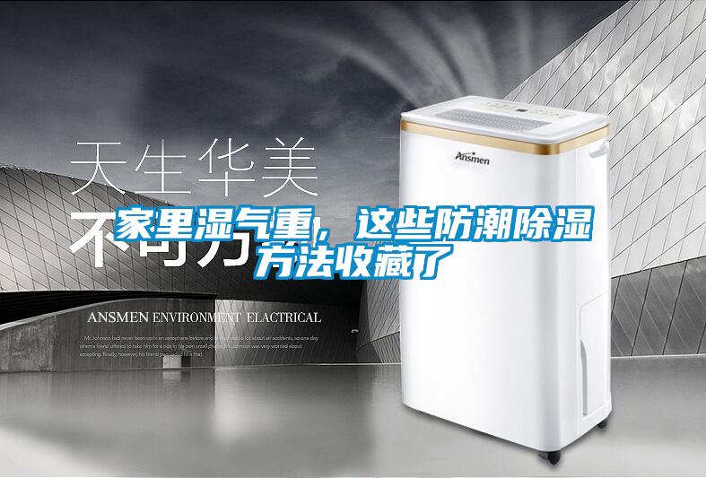 国产精品三级在线观看 家里湿气重，这些防潮除湿方法收藏了