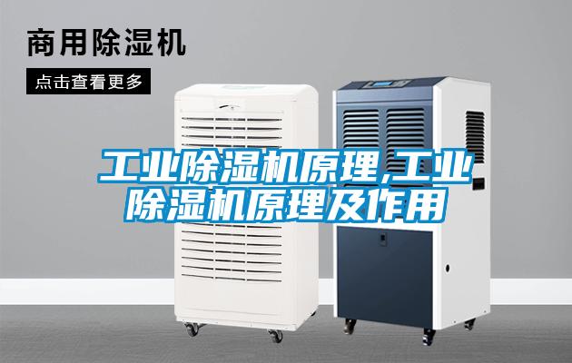 国产精品三级在线观看 工业除湿机原理,工业除湿机原理及作用