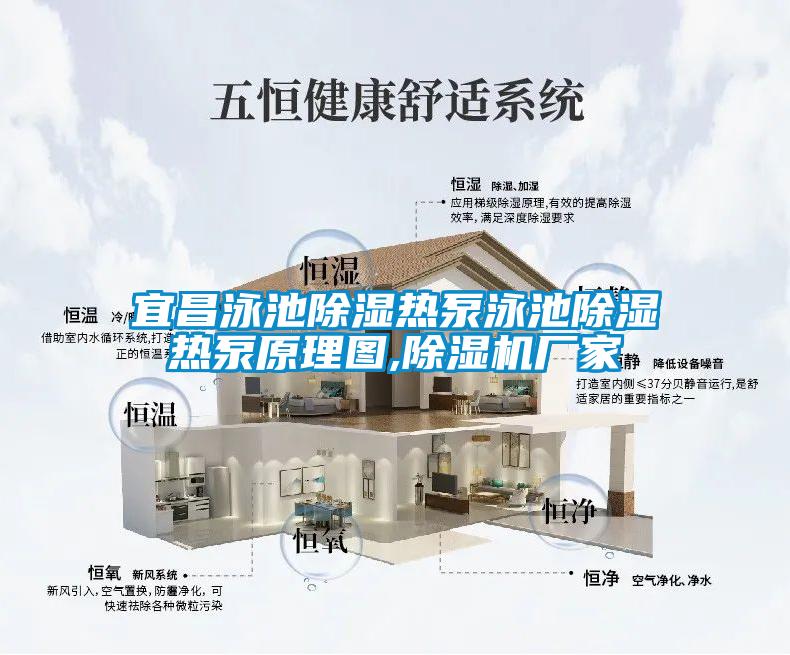 国产精品欧美激情视频 宜昌泳池除湿热泵泳池除湿热泵原理图,除湿机厂家