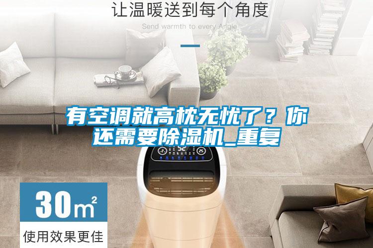 国产精品欧美激情视频 有空调就高枕无忧了？你还需要除湿机_重复