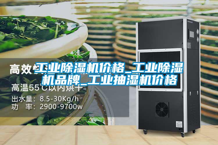 国产精品欧美激情视频 工业除湿机价格_工业除湿机品牌_工业抽湿机价格