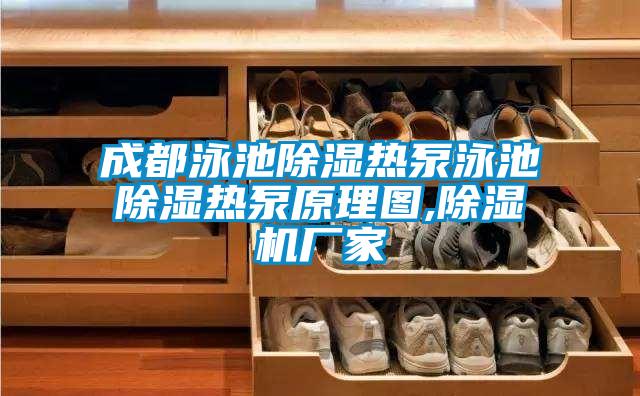 国产精品欧美激情视频 成都泳池除湿热泵泳池除湿热泵原理图,除湿机厂家