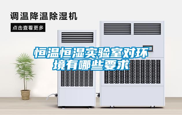 国产精品三级在线观看 恒温恒湿实验室对环境有哪些要求