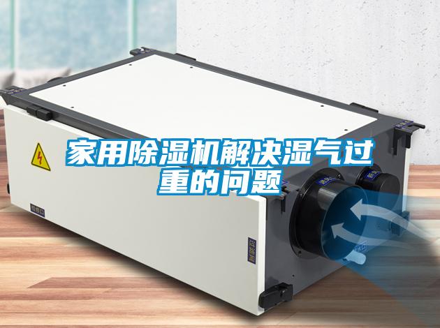 国产精品探花在线观看 家用除湿机解决湿气过重的问题