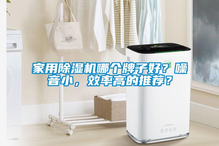 国产精品欧美激情视频 家用除湿机哪个牌子好？噪音小，效率高的推荐？