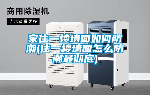 国产精品欧美激情视频 家住一楼墙面如何防潮(住一楼墙面怎么防潮最彻底)