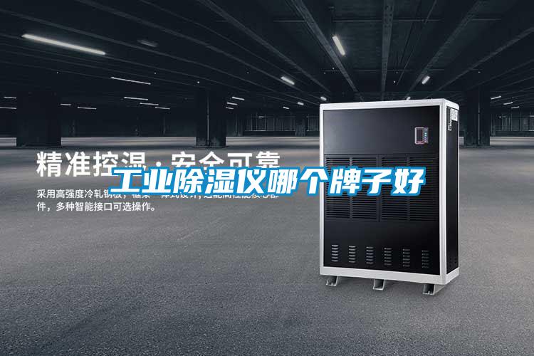 国产精品探花在线观看 工业除湿仪哪个牌子好