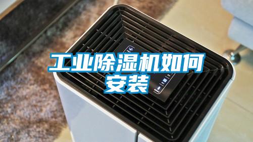 国产精品欧美激情视频 工业除湿机如何安装