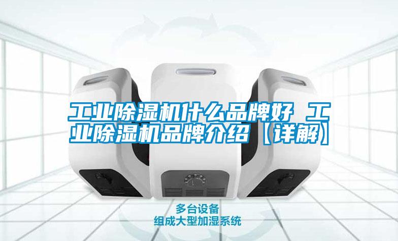 国产精品三级在线观看 工业除湿机什么品牌好 工业除湿机品牌介绍【详解】