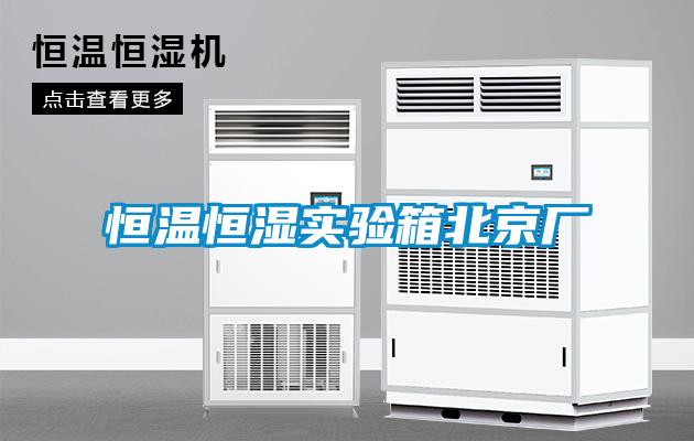 国产精品三级在线观看 恒温恒湿实验箱北京厂