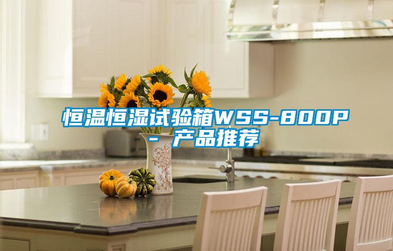 国产精品三级在线观看 恒温恒湿试验箱WSS-800P - 产品推荐