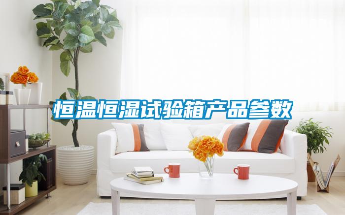 国产精品探花在线观看 恒温恒湿试验箱产品参数