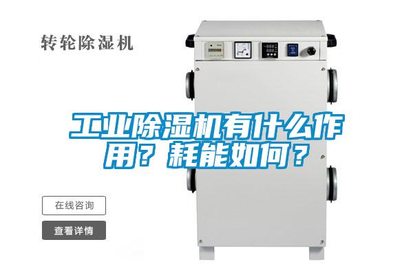 国产精品欧美激情视频 工业除湿机有什么作用？耗能如何？