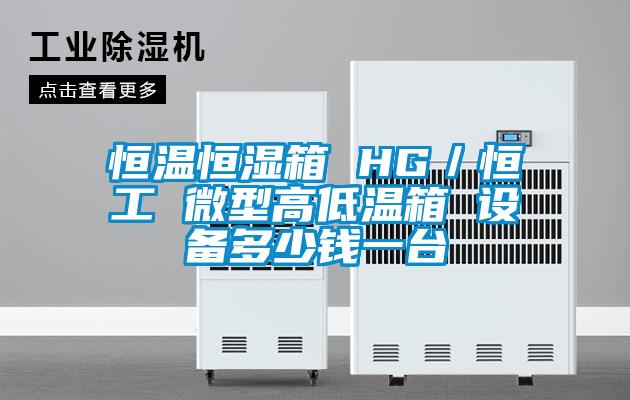 国产精品欧美激情视频 恒温恒湿箱 HG／恒工 微型高低温箱 设备多少钱一台