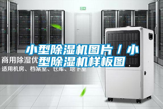 国产精品探花在线观看 小型除湿机图片／小型除湿机样板图
