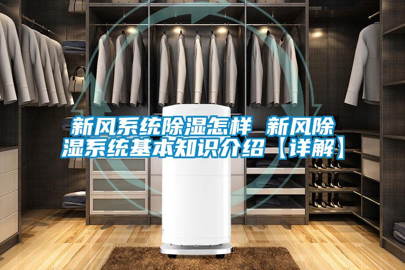国产精品探花在线观看 新风系统除湿怎样 新风除湿系统基本知识介绍【详解】