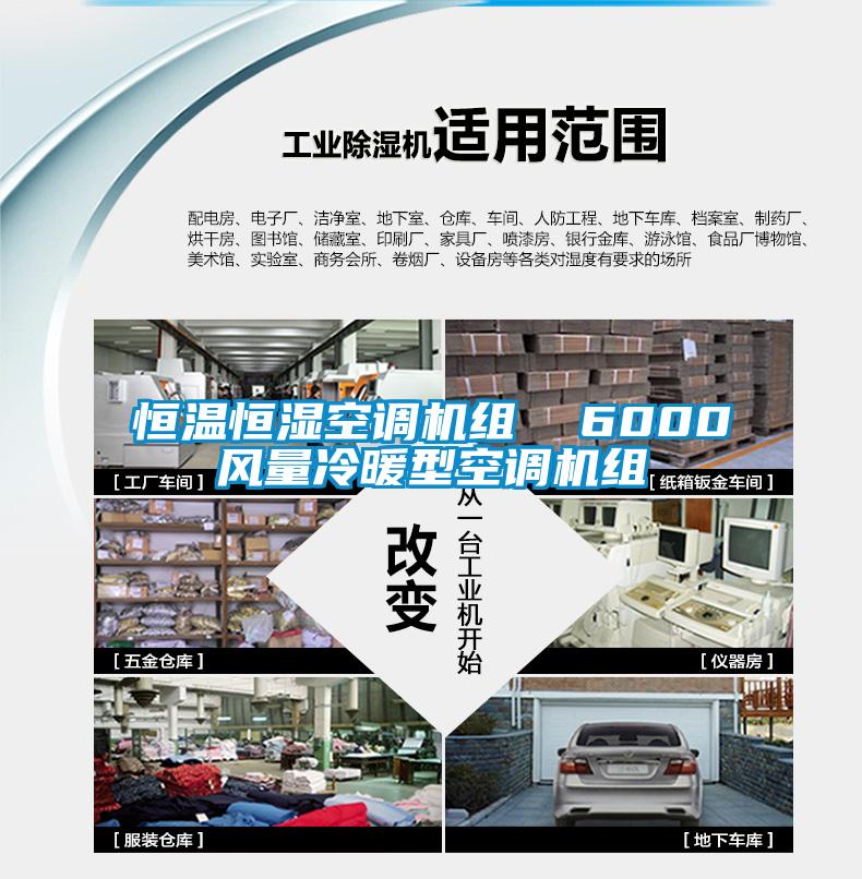 国产精品欧美激情视频 恒温恒湿空调机组  6000风量冷暖型空调机组