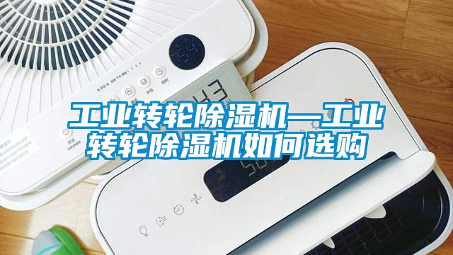 国产精品三级在线观看 工业转轮除湿机—工业转轮除湿机如何选购
