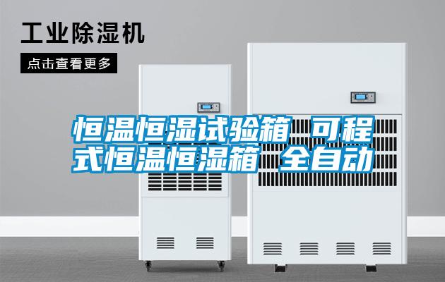 国产精品三级在线观看 恒温恒湿试验箱 可程式恒温恒湿箱 全自动